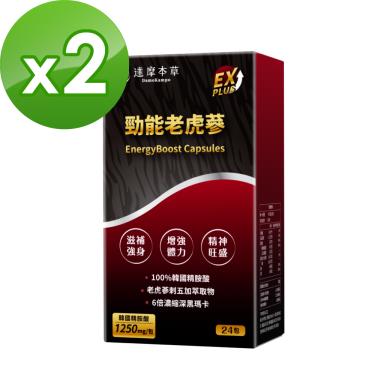 （保健滿額折）【達摩本草】勁能老虎蔘粉包 EX PLUS（24入X2盒）