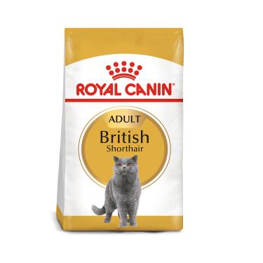 【ROYAL 皇家】英國短毛成貓專用飼料10kg（預購商品）