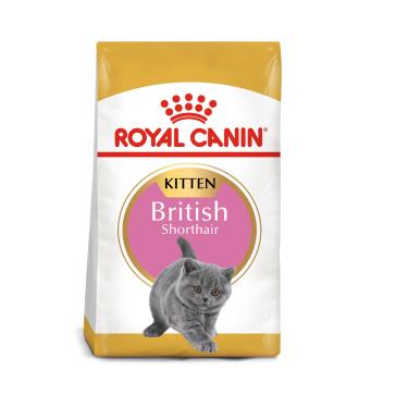 【ROYAL 皇家】英國短毛幼貓專用乾糧BSK38（10kg）（預購商品）