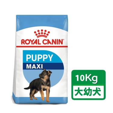 【ROYAL 皇家】大型幼犬專用乾糧MXP（10kg）（預購商品）
