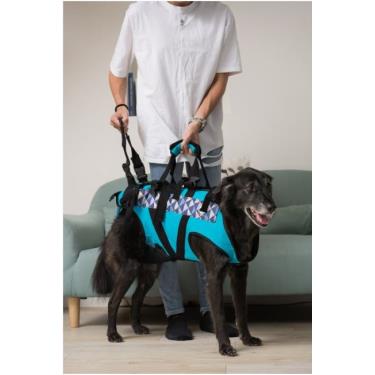 【EZ-CARE】 pet 寵物輔助衣一般款M號　顏色隨機出貨(廠送)