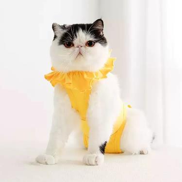 【MEOOF】貓咪防舔衣絕育服（S）黃色（廠商直送）