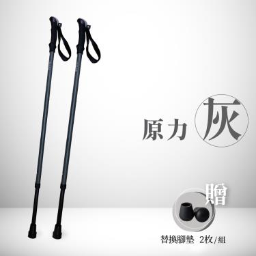 【悅康品家】KENKO介康六千健身杖 雙杖（原力灰）廠商直送