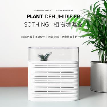 YOME  SOTHING 植物除濕盒 台灣特別版 x 1入-廠送