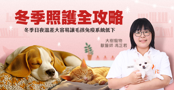 冬季照護全攻略