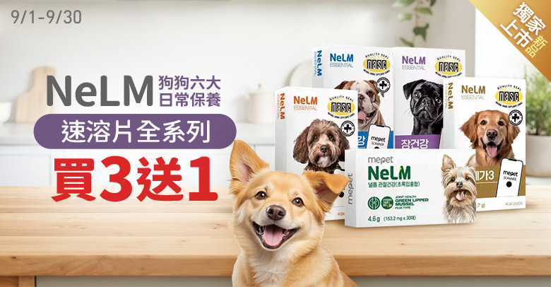 NeLM