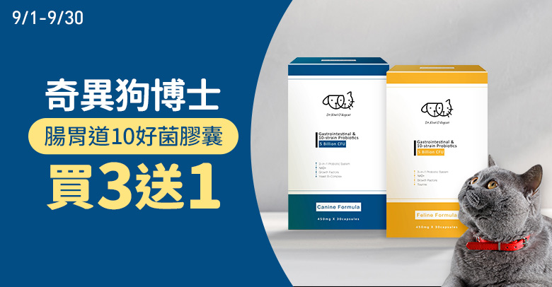 奇異狗博士