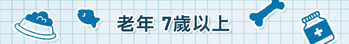 老年