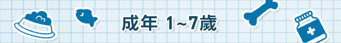 成年