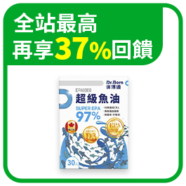 全站