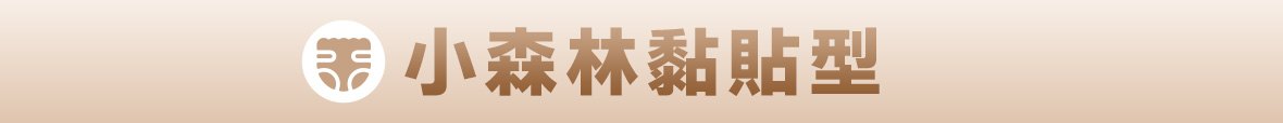 小森林黏貼尿布