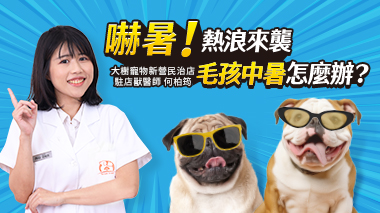 熱浪來襲