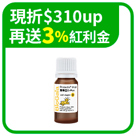 全站