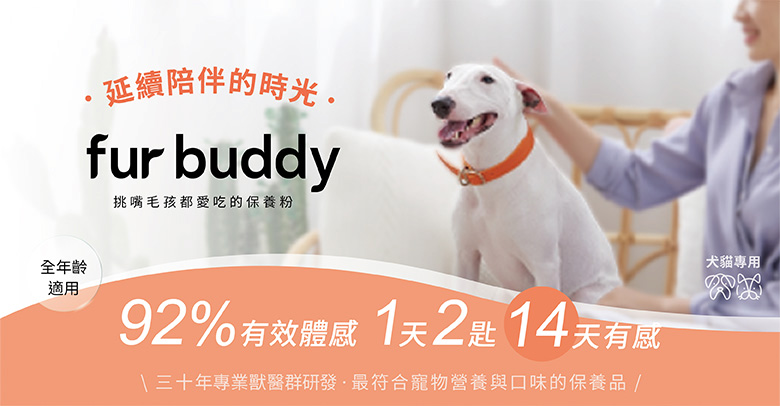 Fur Buddy
