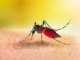 兒童要如何防蚊蟲呢？藥師：戶外防蚊蟲，這樣做最安全！