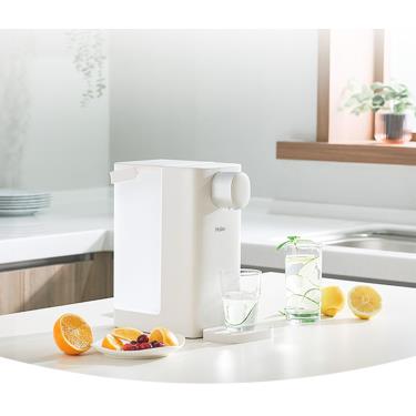 【Haier 海爾】瞬熱式飲水機 小海鷗 ( WD301 )