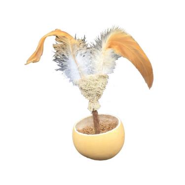 【自然鮮】金絲雀潔牙不倒翁