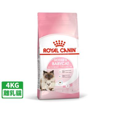 【ROYAL 皇家】離乳貓糧BC34（4kg）（預購商品）