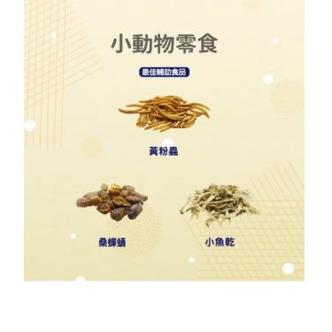【Pet Village 魔法村】營養高鈣黃金蛋白桑蟬蛹（40g）