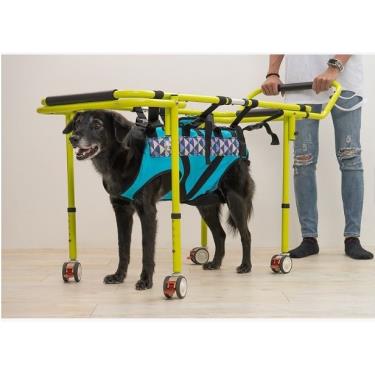 【EZ-CARE pet】寵物助行器 EZP100（廠商直送）