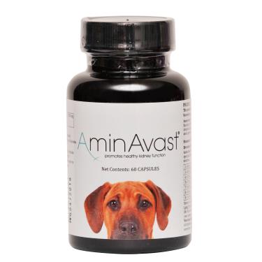 【美國AminAvast】胺腎 1000mg（60顆） 中大型犬用慢性腎衰竭營養補充（10公斤以上）（廠商直送）