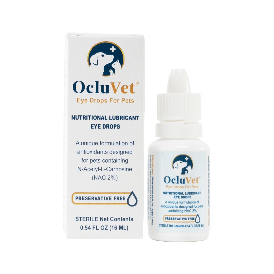 【OcluVet歐可明】動物專用白內障營養液（16ML）（廠商直送）