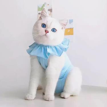 【MEOOF】貓咪防舔衣絕育服（M）藍色（廠商直送）